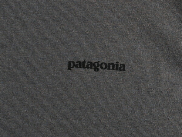 パタゴニア 両面 プリント 長袖 Tシャツ レディース XL / 古着 アウトドア ロンT ロングスリーブ ロゴT P6 バックプリント 大きいサイズ 灰