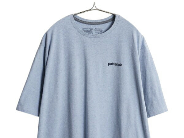 パタゴニア 両面 プリント 半袖 Tシャツ メンズ XL  22年製 アウトドア グラフィック イラスト バックプリント カットソー 大きいサイズ 青