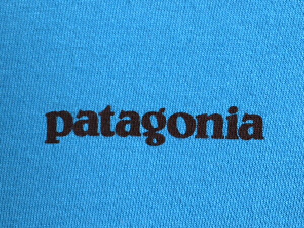 パタゴニア 両面 プリント 半袖 Tシャツ メンズ M / 古着 16年製 アウトドア バックプリント フィッシュ グラフィック イラスト カットソー
