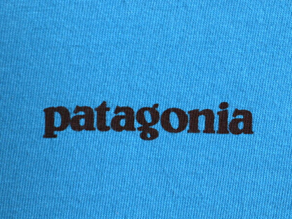 パタゴニア 両面 プリント 半袖 Tシャツ メンズ M / 古着 16年製 アウトドア バックプリント フィッシュ グラフィック イラスト カットソー