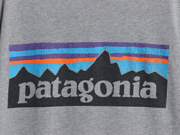 パタゴニア 両面 プリント 半袖 Tシャツ メンズ M / 16年製 アウトドア P6 ボックスロゴ バックプリント オーガニック コットン カットソー