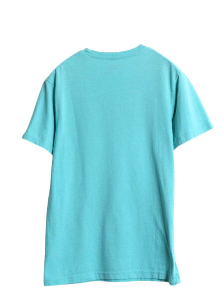 パタゴニア プリント 半袖 Tシャツ メンズ S 16年製 アウトドア フィッツロイ クレスト グラフィック オーガニック コットン スリム ブルー