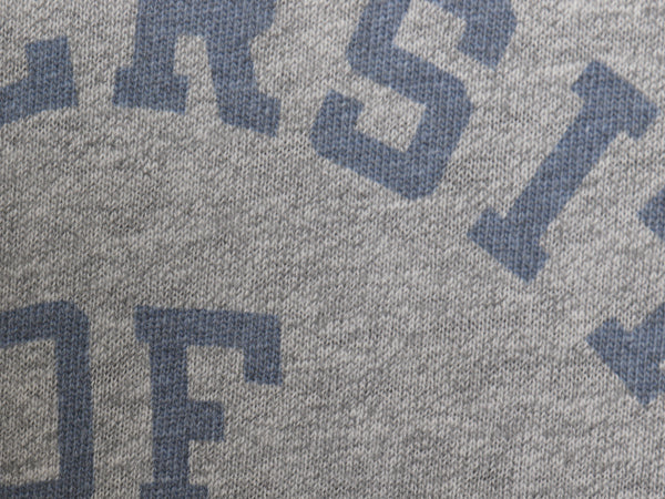 60s USA製 ★ チャンピオン 4段 染込み カレッジ プリント Tシャツ メンズ M 程/ ヴィンテージ プロダクツタグ シングルステッチ 霜降り 灰