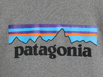 20年製 パタゴニア プリント スウェット フード パーカー メンズ S 古着 Patagonia トレーナー プルオーバー ストレッチ アウトドア 裏起毛