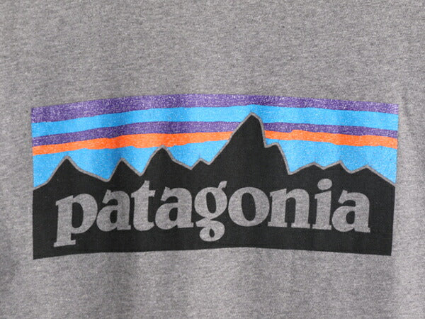 16年製 パタゴニア 両面 プリント 半袖 Tシャツ メンズ L / 古着 Patagonia アウトドア P-6 バックプリント ボックスロゴ クルーネック 灰