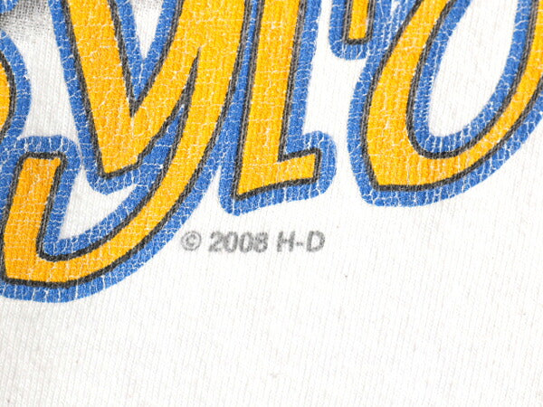 USA製 ハーレー ダビッドソン 4面 プリント 長袖 Tシャツ メンズ M オフィシャル ピンナップガール バイク 星条旗 グラフィック 全面 ロンT