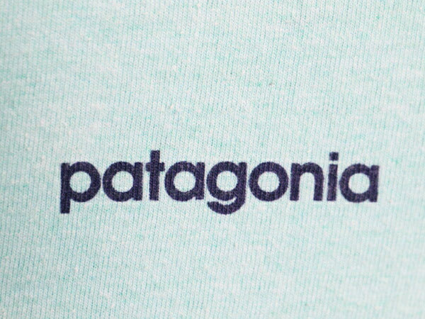パタゴニア 両面 プリント 半袖 Tシャツ メンズ XS / 古着 Patagonia アウトドア イラスト グラフィック バックプリント クルーネック 緑