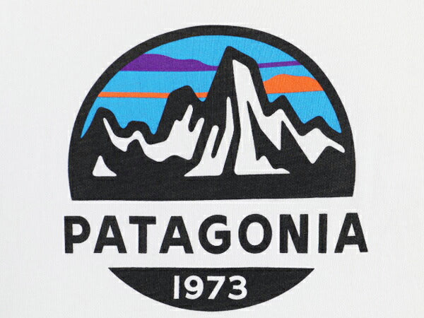 19年製 USA製 パタゴニア プリント 半袖 Tシャツ メンズ М / Patagonia アウトドア フィッツロイ スコープ グラフィック スリム フィット