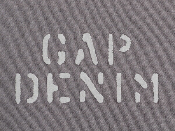 00s OLD GAP 2段 フロッキー プリント スウェット メンズ レディース XL 00年代 オールド ギャップ 復刻 前V 裏起毛 トレーナー カットソー