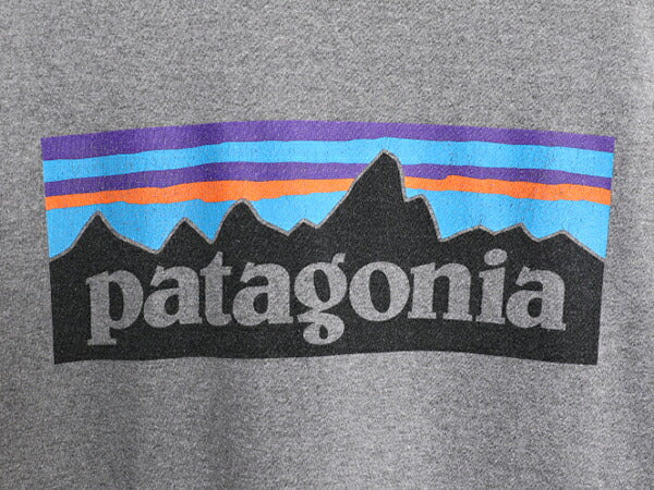 19年製 パタゴニア 両面 プリント 半袖 Tシャツ メンズ L / 古着 Patagonia アウトドア P-6 バックプリント ボックスロゴ クルーネック 灰