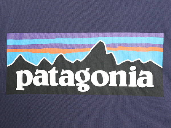 19年製 パタゴニア 両面 プリント 半袖 Tシャツ メンズ L / Patagonia アウトドア P6 スリムフィット バックプリント オーガニックコットン