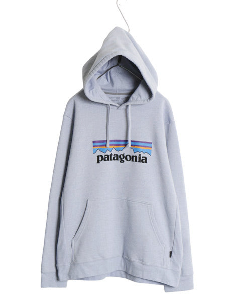 パタゴニア プリント スウェット フード パーカー メンズ XL レディース XXL 23年製 トレーナー プルオーバー  裏起毛 大きいサイズ ブルー