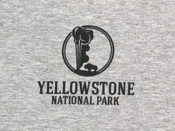 パタゴニア 両面 プリント スウェット レディース S / 19年製 ライトウェイト ストレッチ ロンT トレーナー フィッツロイ バイソン グレー