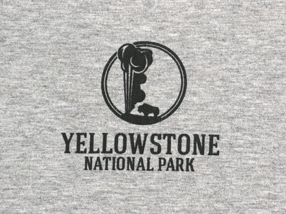 パタゴニア 両面 プリント スウェット レディース S / 19年製 ライトウェイト ストレッチ ロンT トレーナー フィッツロイ バイソン グレー