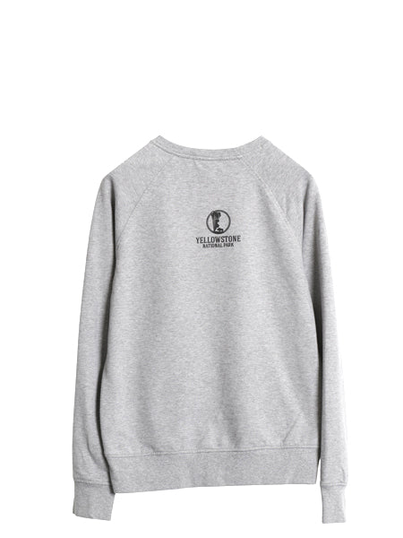 パタゴニア 両面 プリント スウェット レディース S / 19年製 ライトウェイト ストレッチ ロンT トレーナー フィッツロイ バイソン グレー