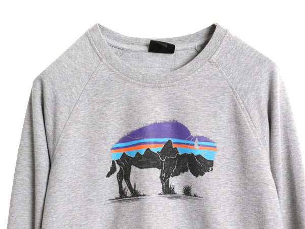 パタゴニア 両面 プリント スウェット レディース S / 19年製 ライトウェイト ストレッチ ロンT トレーナー フィッツロイ バイソン グレー