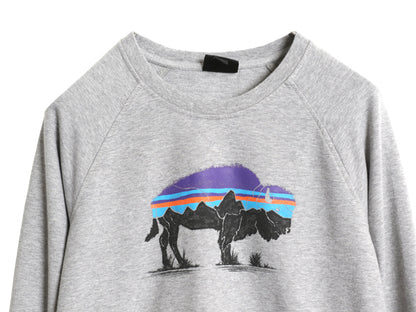 パタゴニア 両面 プリント スウェット レディース S / 19年製 ライトウェイト ストレッチ ロンT トレーナー フィッツロイ バイソン グレー