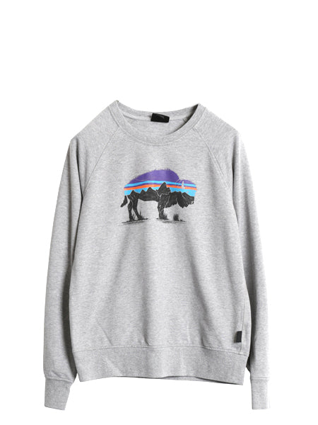 パタゴニア 両面 プリント スウェット レディース S / 19年製 ライトウェイト ストレッチ ロンT トレーナー フィッツロイ バイソン グレー