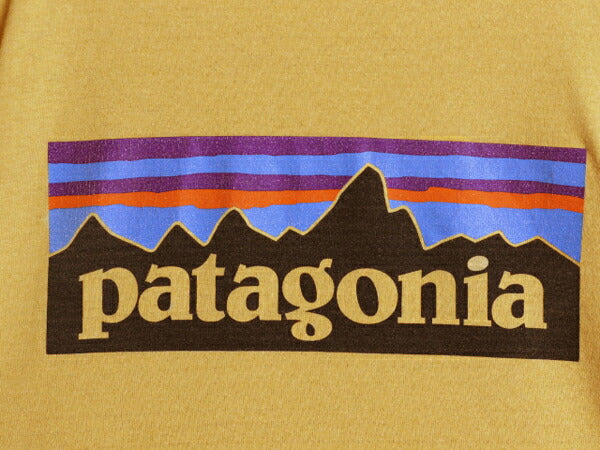 パタゴニア 両面 プリント 半袖 Tシャツ メンズ XL / 古着 19年製 カットソー P6 バックプリント ボックスロゴ クルーネック 大きいサイズ