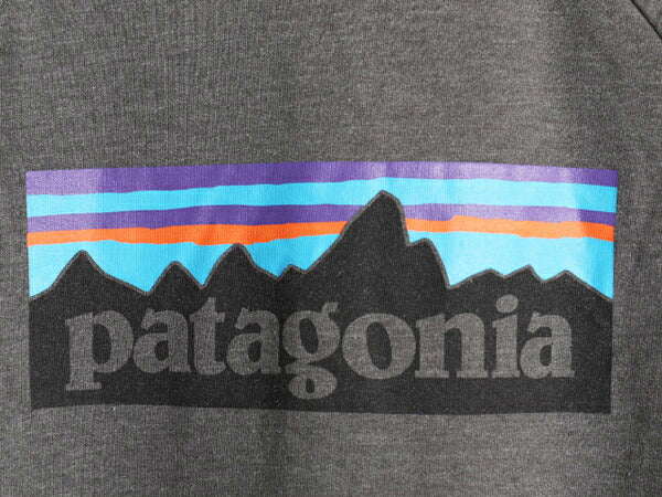 18年製 パタゴニア プリント ライトウェイト スウェット メンズ L 古着 Patagonia 長袖Tシャツ ロンT P6 バックプリント トレーナー 裏起毛