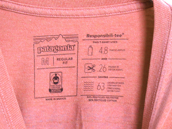 パタゴニア ポケット付き 両面 プリント 半袖 Tシャツ メンズ M 19年製 アウトドア ポケT バックプリント カットソー グラフィック アート