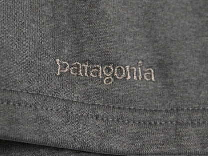 00s 01年製 パタゴニア キャプリーン 4 エクスペディション ウェイト ハーフジップ メンズ L オールド patagonia 裏 フリース トップス 灰