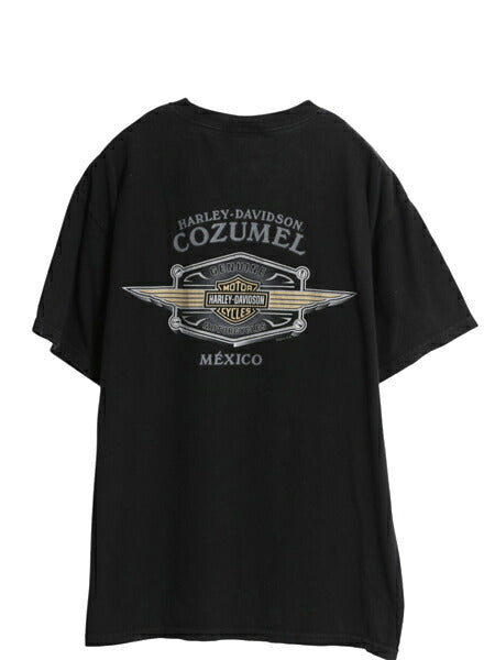 ハーレー ダビッドソン 両面 プリント Tシャツ メンズ L オフィシャル バイク スカル イラスト アート グラフィック ドクロ カットソー 黒