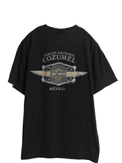 ハーレー ダビッドソン 両面 プリント Tシャツ メンズ L オフィシャル バイク スカル イラスト アート グラフィック ドクロ カットソー 黒