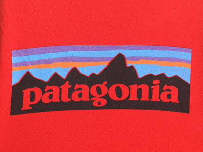 14年製 パタゴニア 両面 プリント 長袖 Tシャツ メンズ M / Patagonia アウトドア ロンT プリントT ロゴT フィッツロイ P6 バックプリント