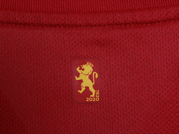 アディダス スペイン 代表 サッカー ユニフォーム メンズ M / 正規品 2020 ユーロ モデル 当時物 レプリカ オフィシャル Tシャツ ジャージ