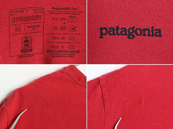 パタゴニア 両面 プリント 半袖 Tシャツ メンズ M / Patagonia アウトドア イラスト グラフィック バックプリント カットソー ワンポイント