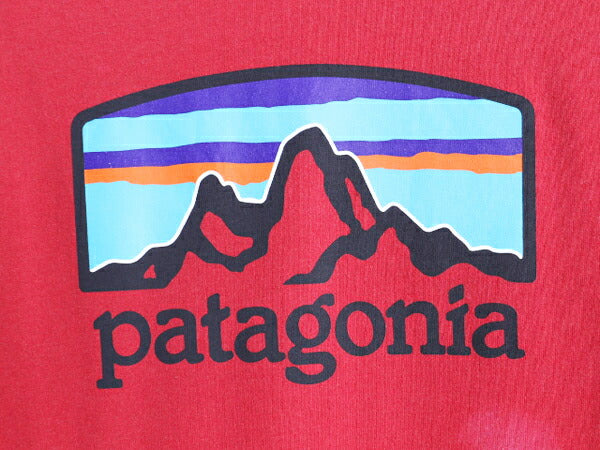 パタゴニア 両面 プリント 半袖 Tシャツ メンズ M / Patagonia アウトドア イラスト グラフィック バックプリント カットソー ワンポイント
