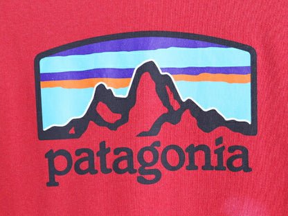 パタゴニア 両面 プリント 半袖 Tシャツ メンズ M / Patagonia アウトドア イラスト グラフィック バックプリント カットソー ワンポイント