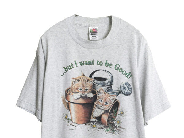 00s ネコ アート イラスト プリント Tシャツ メンズ レディース L 古着 オールド グラフィック シングルステッチ フルーツオブザルーム 灰