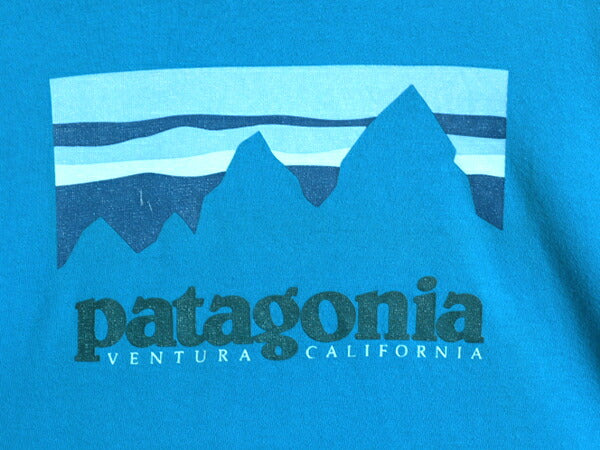 16年製 パタゴニア プリント 長袖 Tシャツ メンズ M Patagonia アウトドア ロンT プリントT ロゴT クルーネック フィッツロイ グラフィック