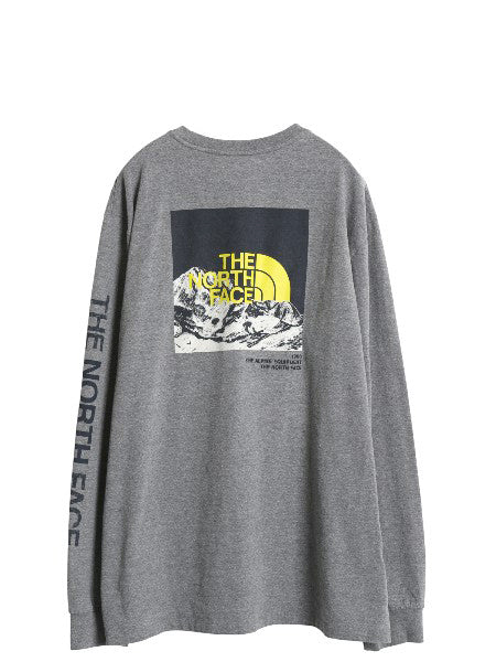 ノースフェイス 3面 プリント 長袖 Tシャツ メンズ XXL / ロンT 刺繍 グラフィック バックプリント 袖プリント カットソー 大きいサイズ 灰