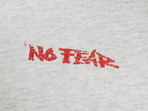 90s USA製 ☆ NO FEAR ロゴ プリント Tシャツ メンズ L 古着 オールド 当時物 ストリート スケート サーフ メッセージ シングルステッチ 灰