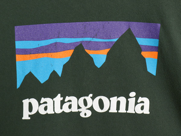 パタゴニア プリント 長袖 Tシャツ メンズ L / 17年製 アウトドア ロンT ロングスリーブ P-6 グラフィック ショップ ステッカー カットソー