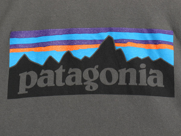パタゴニア ポケット付き 両面 プリント 半袖 Tシャツ メンズ L / 16年製 アウトドア P6 バックプリント ボックスロゴ カットソー ポケT 灰