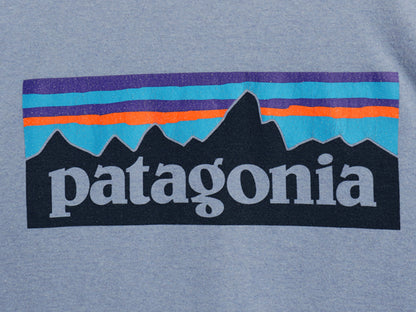パタゴニア 両面 プリント 半袖 Tシャツ メンズ S / 18年製 アウトドア P6 バックプリント ボックスロゴ カットソー トップス シンプル 青