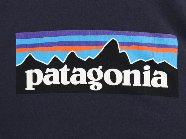 パタゴニア 両面 プリント 長袖 Tシャツ メンズ XL 19年製 アウトドア ロンT ロングスリーブ P6 バックプリント ボックスロゴ 大きいサイズ