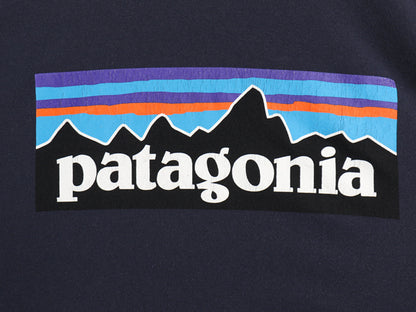 パタゴニア 両面 プリント 長袖 Tシャツ メンズ XL 19年製 アウトドア ロンT ロングスリーブ P6 バックプリント ボックスロゴ 大きいサイズ