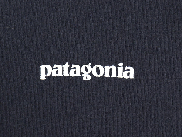 パタゴニア 両面 プリント 長袖 Tシャツ メンズ XL 19年製 アウトドア ロンT ロングスリーブ P6 バックプリント ボックスロゴ 大きいサイズ