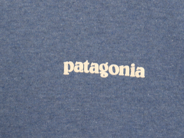 パタゴニア 両面 プリント 半袖 Tシャツ メンズ M / 19年製 アウトドア フィッツロイ フィッシュ グラフィック カットソー イラスト ブルー
