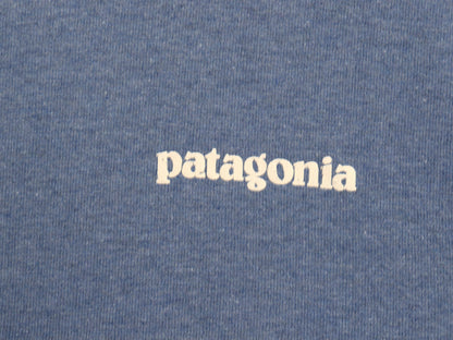 パタゴニア 両面 プリント 半袖 Tシャツ メンズ M / 19年製 アウトドア フィッツロイ フィッシュ グラフィック カットソー イラスト ブルー