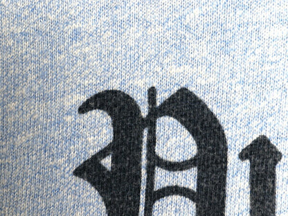 70s USA製 ★ チャンピオン 染込み カレッジ プリント Tシャツ メンズ L / ヴィンテージ バータグ 88 12 シングルステッチ 霜降り ブルー