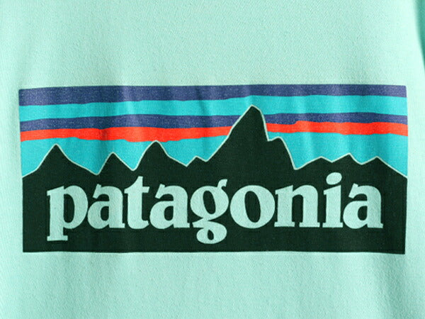 ■ パタゴニア ポケット付き フィッツロイ プリント 半袖 Tシャツ メンズ L 古着 Patagonia ポケT ロゴT バックプリント P-6 ボックスロゴ