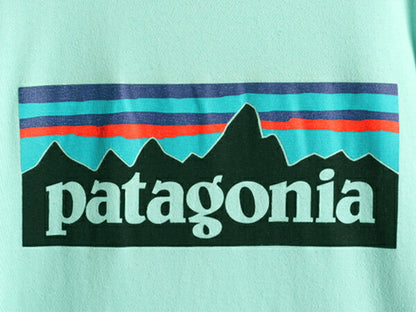 ■ パタゴニア ポケット付き フィッツロイ プリント 半袖 Tシャツ メンズ L 古着 Patagonia ポケT ロゴT バックプリント P-6 ボックスロゴ