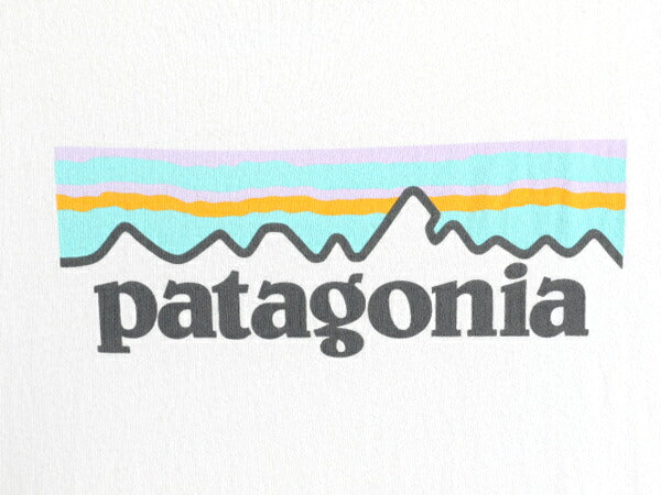 18年製 ■ パタゴニア プリント 半袖 Tシャツ レディース S 古着 Patagonia アウトドア オーガニック コットン P-6 フィッツロイ パステル