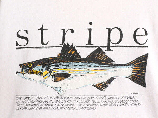 80s USA製 フィッシュ アート イラスト バックプリント Tシャツ メンズ XL / 80年代 ヴィンテージ 魚 グラフィック ポケット付き ポケT 白